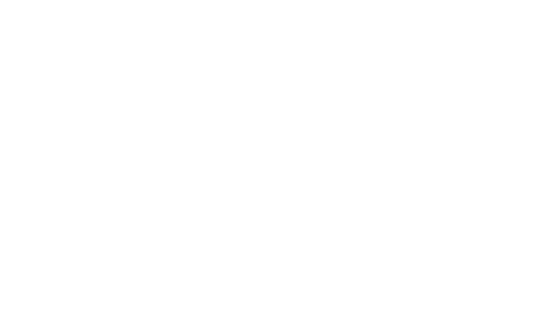 Inclusion Services