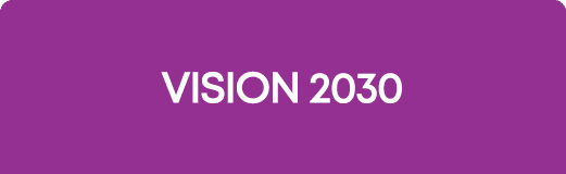 Vision 2030 