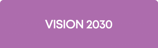 Vision 2030 
