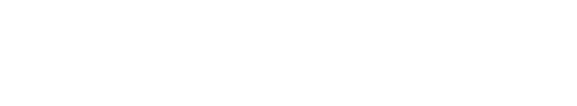 STRONG SOCIAL ENTERPRISE