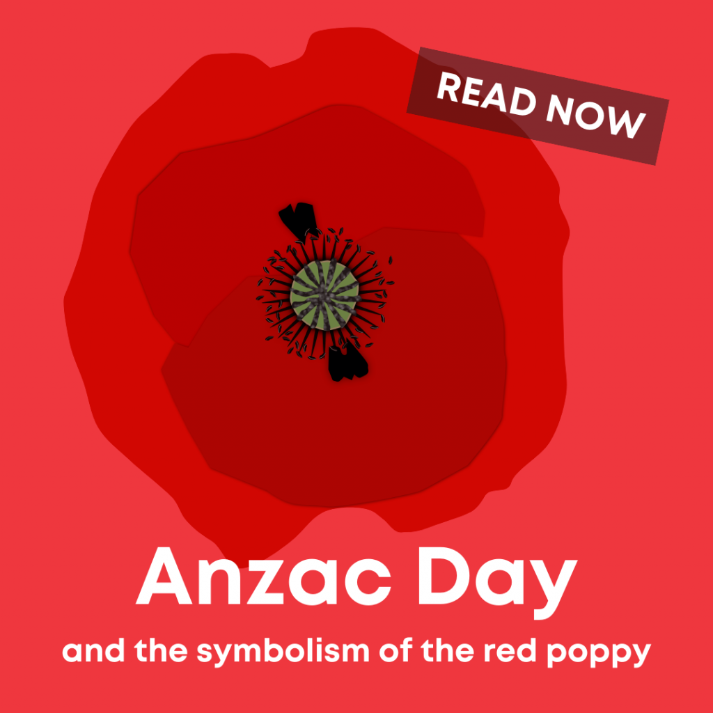 The Y's legacy: Anzac Day and the symbolism of the red poppy